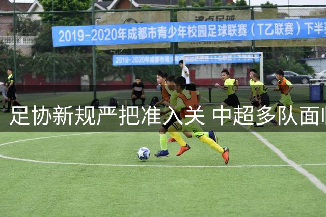 足协新规严把准入关 中超多队面临生死大考