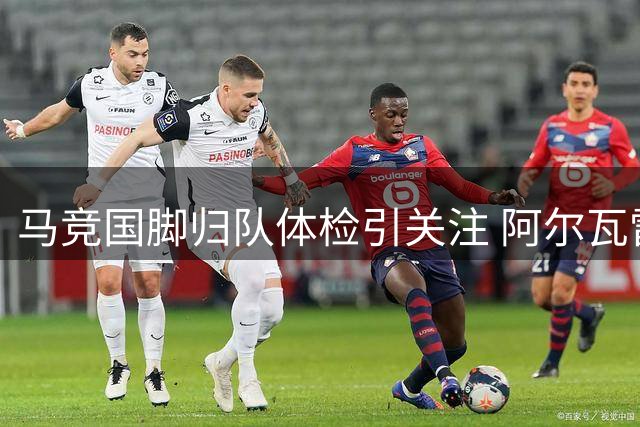 马竞国脚归队体检引关注 阿尔瓦雷斯训练计划即将启动